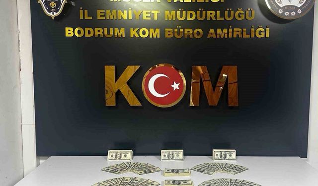 Bodrum'da Sahte Dolar Çetesi Çökertildi: 46 Bin 200 Dolar Ele Geçirildi