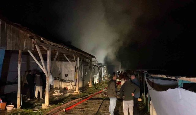 Bursa'da Büyükbaş Hayvan Çiftliğinde Yangın Panik Yarattı