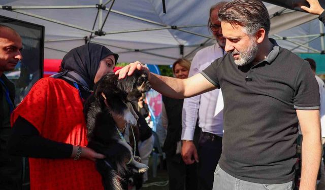 Bursa'da Hayvanların Sahiplenilmesi İçin Önemli Adım: Yuvalandırma Şenliği
