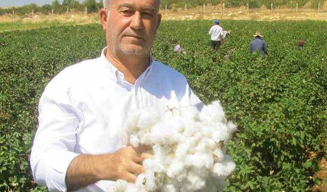 ÇUKOBİRLİK 2026-2027 pamuk alım fiyatlarını Araban'da açıkladı