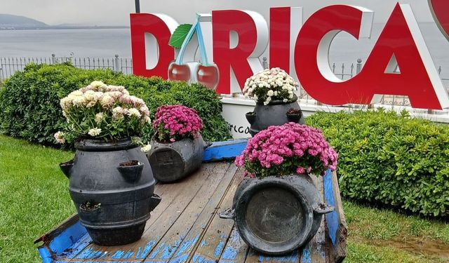 Darıca'daki park ve bahçelerde mevsimlik çiçek dikimi devam ediyor