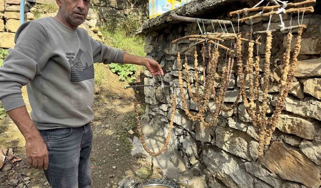 Diyarbakır'ın Çermik ilçesinde geleneksel bağ bozumu başladı