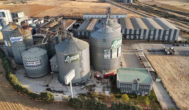 Edirne'de Ayçiçeği Çekirdeği Silosunda Yangın Alarmı