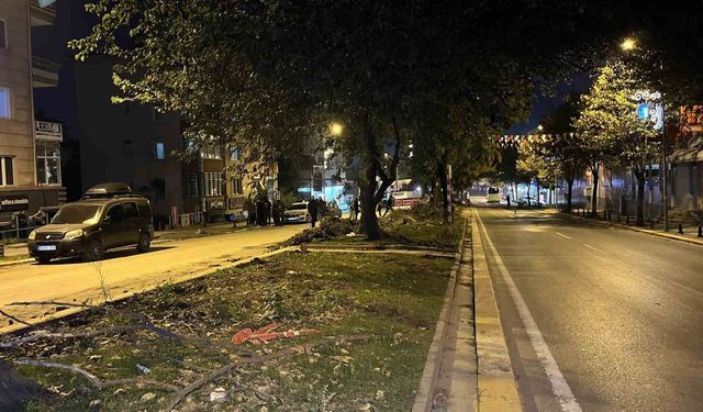 Eyüpsultan'da ağaç kesimi iddiaları sonrası İBB'ye tepki gösterildi