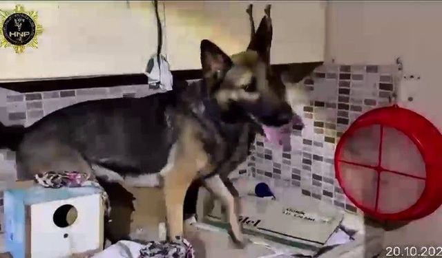 Hatay'da mutfak dolabında 4 kilo 621 gram esrar bulundu