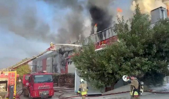 Hatay'daki mobilya fabrikasında yangın, itfaiye müdahale ediyor