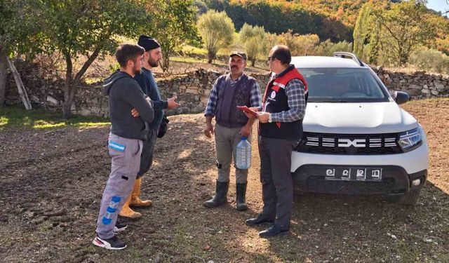 İscehisar'da üreticilere yönelik tarımsal saha çalışmaları devam ediyor