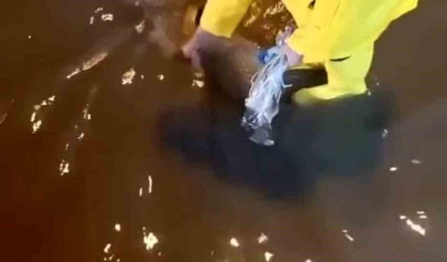 İskenderun'da yağış sonrası su birikintileri belediye ekipleriyle giderildi