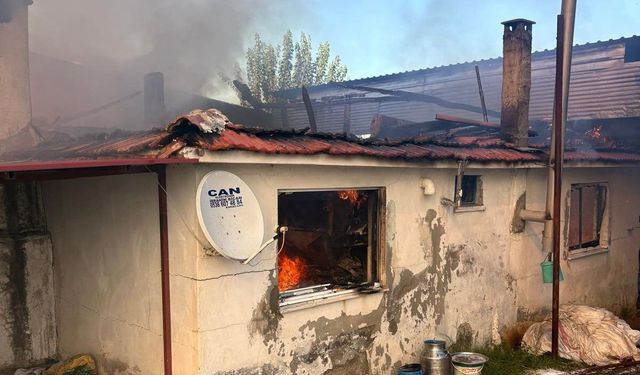 Karacasu'da Korkutan Yangın: Ev ve Hayvan Damı Kül Oldu