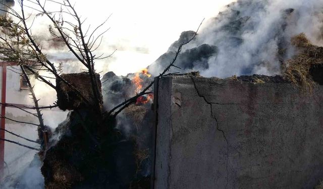 Kastamonu'da çıkan yangında 8 bin balya saman alev aldı