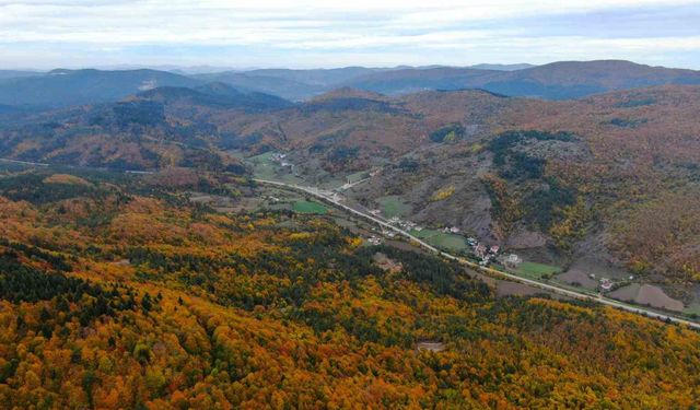Küre Dağları Milli Parkı'nda sonbahar renk cümbüşü göz kamaştırıyor