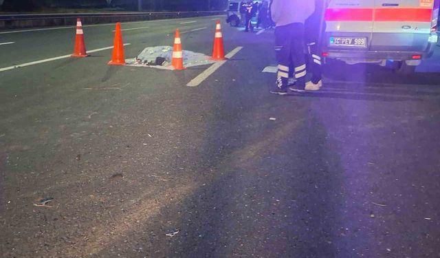 Kuzey Marmara'da Alkollü Sürücü Kaza Yaptı: 1 Kişi Hayatını Kaybetti