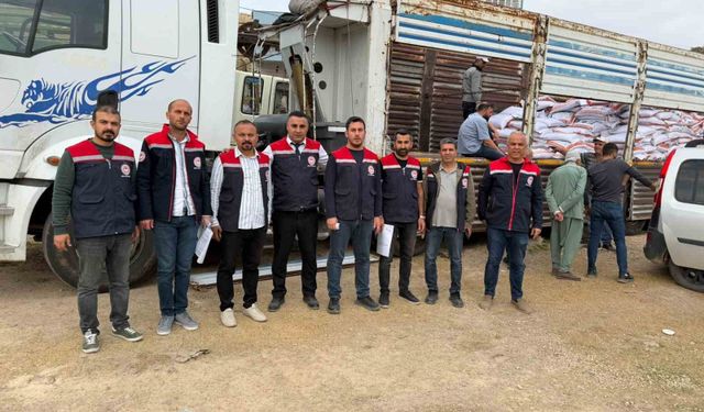 Mazıdağı'nda 167 çiftçiye 40 ton mercimek tohumu desteği