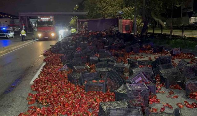 Samsun'da Devrilen Kamyondaki 10 Ton Kapya Biber Yolda Dağıldı: İki Yaralı