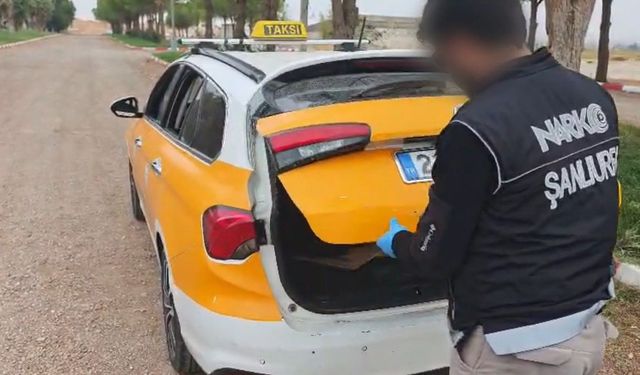 Şanlıurfa'da ticari takside 2 kilo 100 gram skunk yakalandı