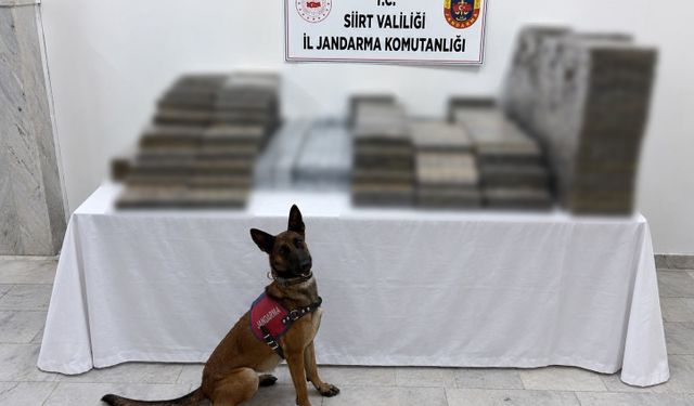 Siirt'te jandarma operasyonunda 10 bin 250 paket kaçak sigara ele geçirildi