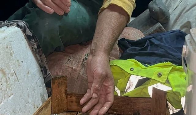 Sinoplu balıkçının ağına nadir mavi yengeç takıldı