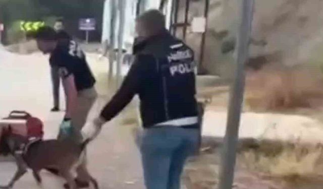 Sinop'ta Uyuşturucu Operasyonu: 3 Kişi Tutuklandı