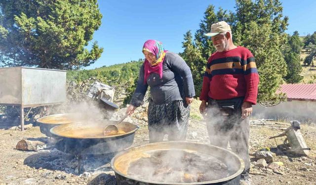 Toroslar'da Harnup Pekmezi Üretimi: Sahilden Yaylaya Uzanan Geleneksel Yaşam