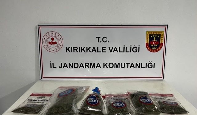 Uyuşturucu Tespiti: Narkotik Köpeği 'Evin' Bahçede Kenevir ve Esrar Buldu