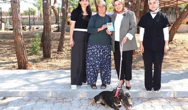 Yangın Mağduru 'Kopi' Artık Yeni Evinde