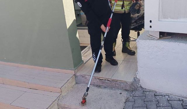 Yayladağı'nda evde görülen yılan, itfaiye tarafından doğaya salındı