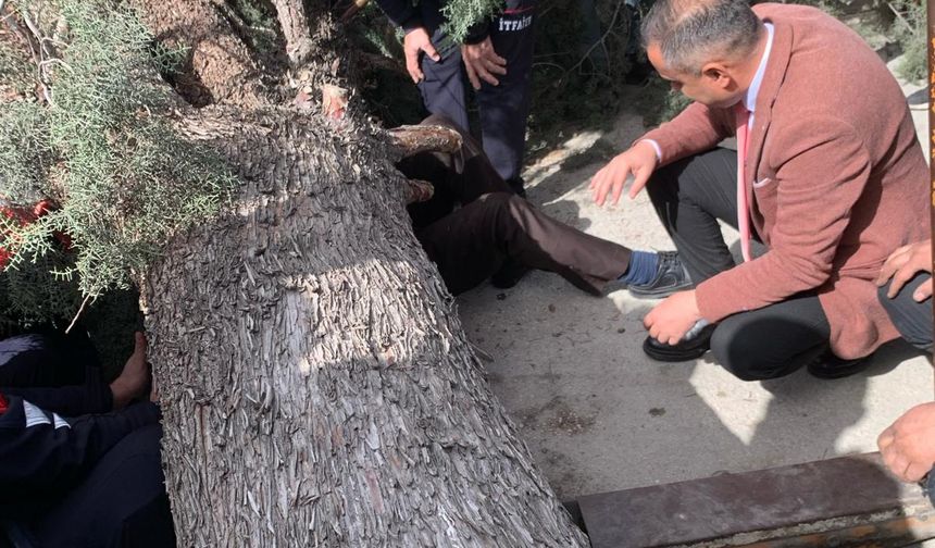 Devrilen ağacın altında kalınca ayağı kırılan SP Burdur adayından tekerlekli sandalyede esnaf ziyareti