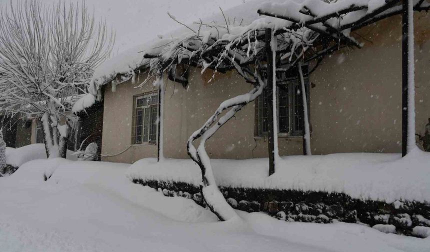 Beytüşşebap ve Uludere ilçelerinde kar yağışı etkili oldu