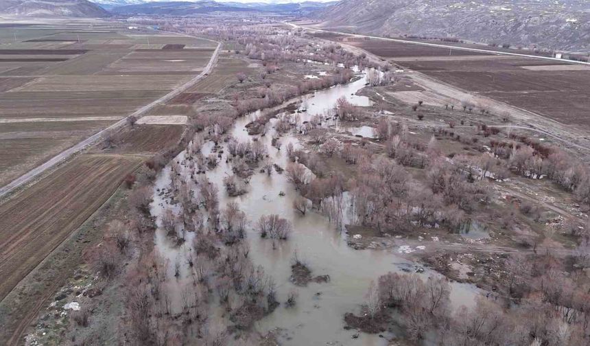 Bir dönem tamamen kuruyan nehir, yeniden coştu