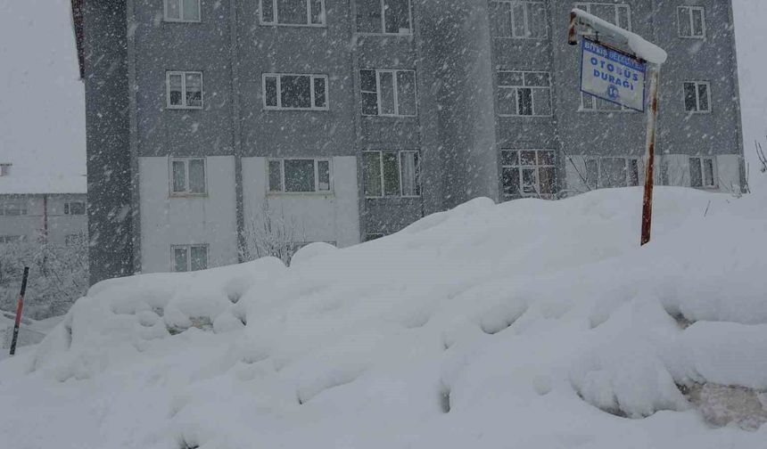 Bitlis'te 304 köy yolu kar nedeniyle ulaşıma kapandı