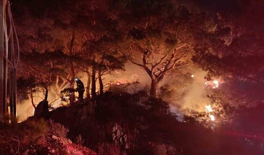 Bodrum'daki orman yangını kontrol altına alındı, rüzgar müdahaleyi zorlaştırdı