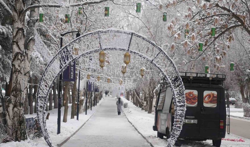 Erzurum'da soğuk havanın etkisiyle ağaçlar kırağı tuttu