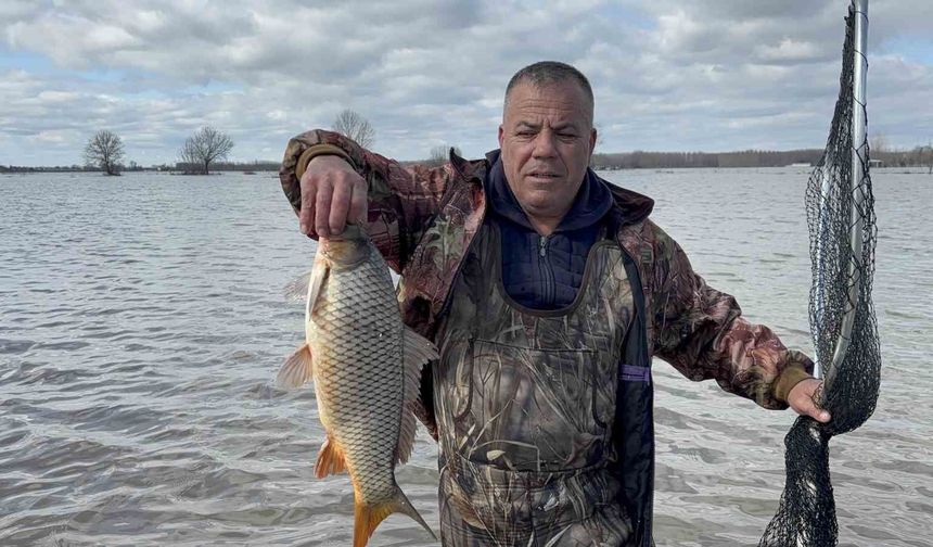 Meriç'in taşması sonrası tarlada sazan yakaladılar
