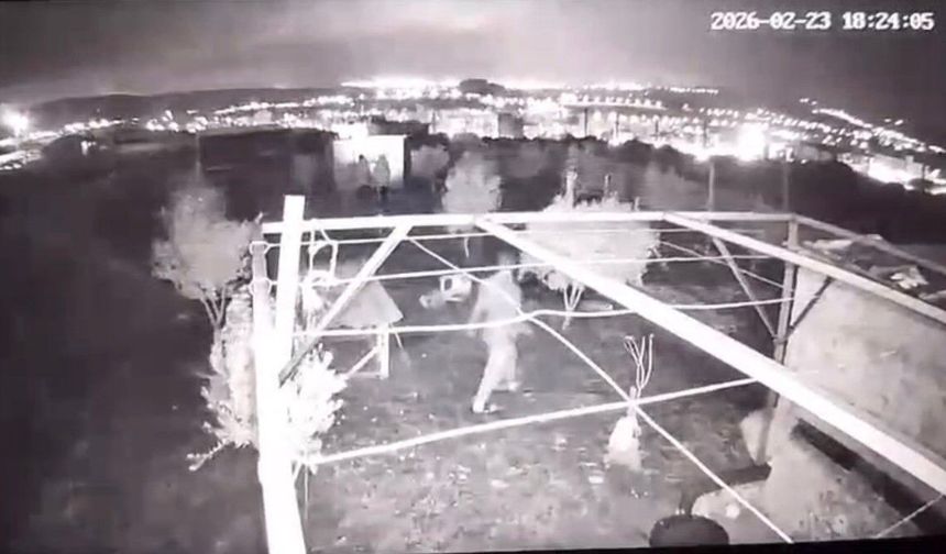 Osmaniye'de hobi bahçesine giren hırsızlar 25 güvercini çaldı