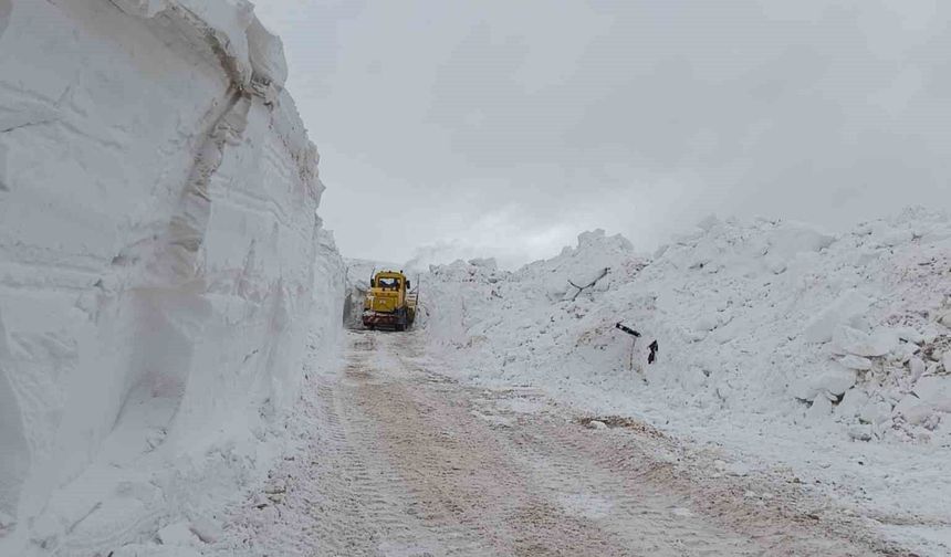 Türkiye-İran sınır hattında karla mücadele çalışması