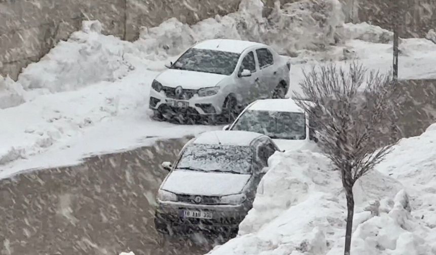 Yüksekova'da lapa lapa kar yağışı başladı