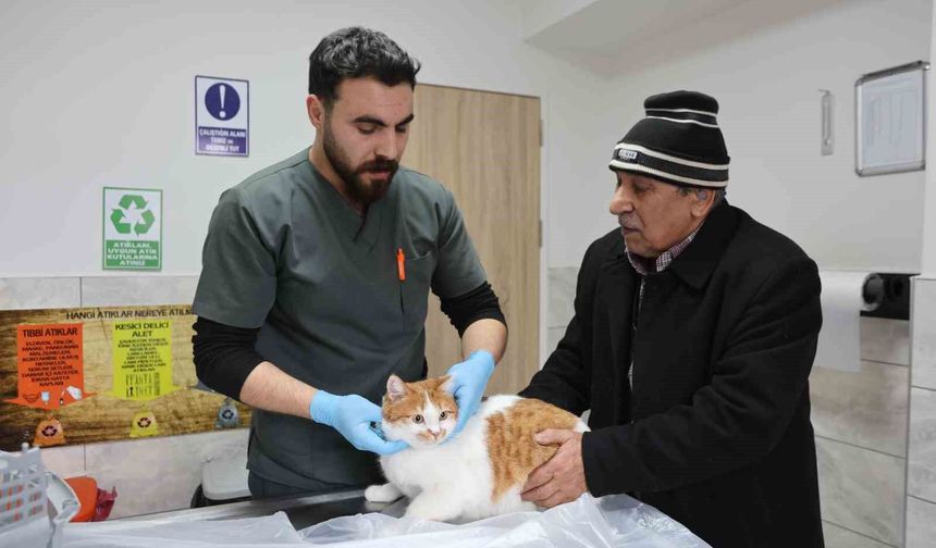 Cumhuriyet tarihinin ilk fakültesine ait hastanede, bir yılda 9 bin 600 hayvan şifa buldu