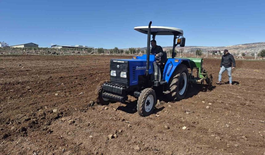 Gaziantep'te nohut ekimi başladı
