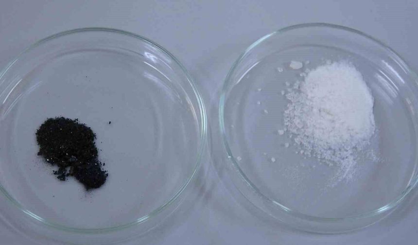 Isparta'da endemik bitkiden doğaya zarar vermeden kanserle mücadeleye umut olacak üretim modeli geliştiriliyor