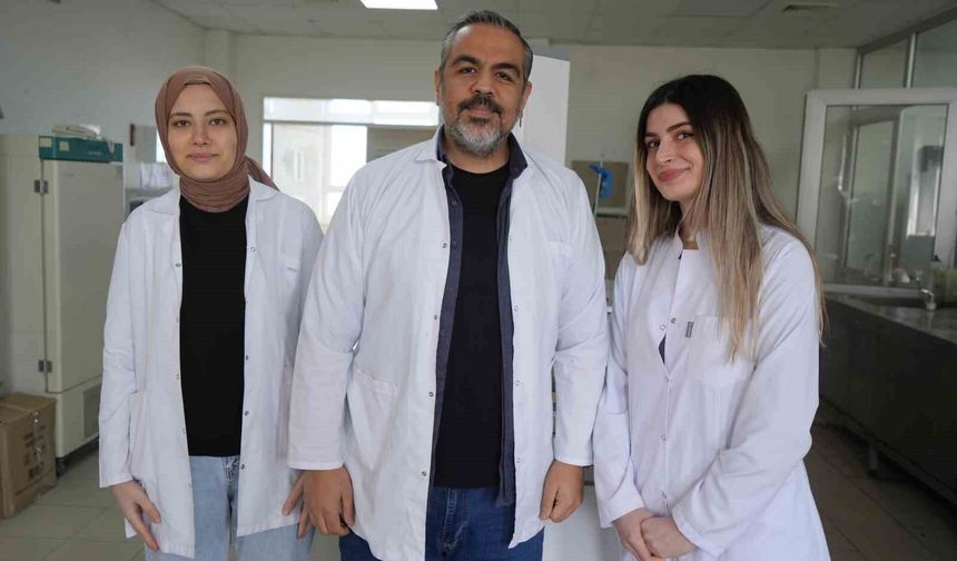 OMÜ projesiyle gıda endüstrisine pH duyarlı doğal renklendirici adayı