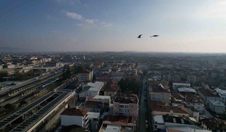 Sakarya'da aynı anda iki mevsim yaşanıyor