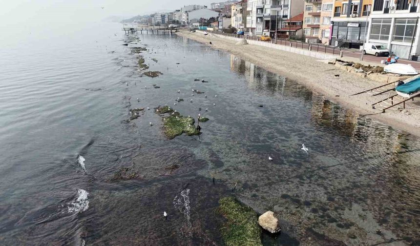 Tekirdağ deniz çekildi 'Kral yolu' ortaya çıktı