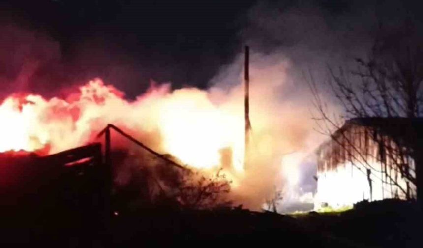Karabük'te Samanlık ve Odunlukta Yangın Çıktı