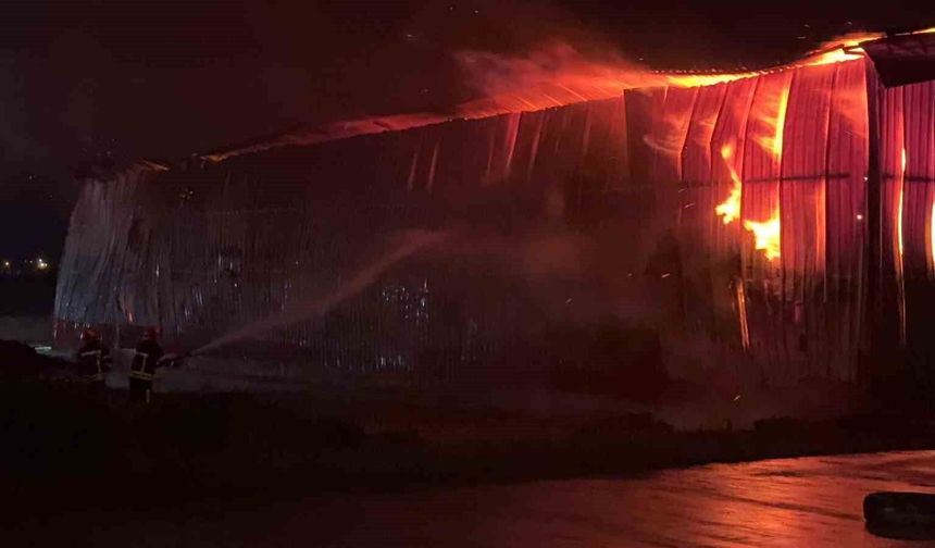 Osmaniye'de Karton Üretim Tesisinde Yangın Çıktı