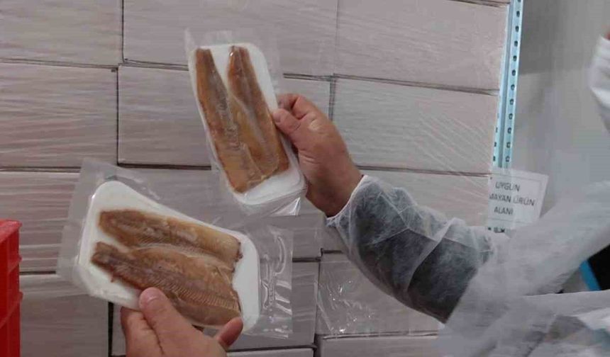 Su Ürünleri Üretim Tesislerinde Denetim Faaliyetleri