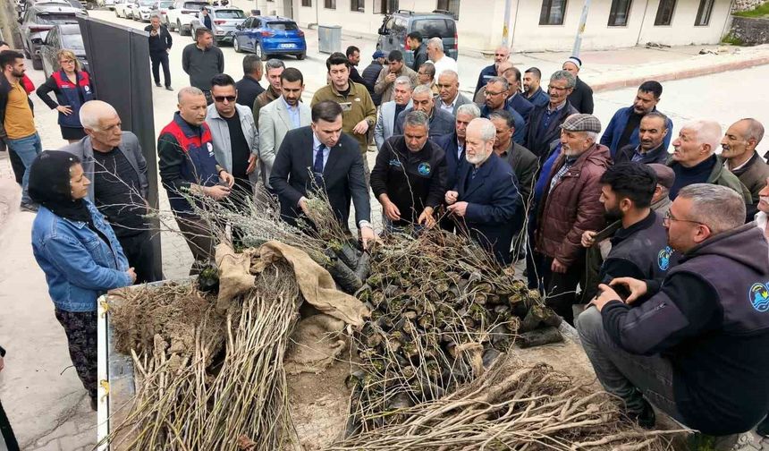 Çemişgezek'te ücretsiz fidan dağıtımı yapıldı