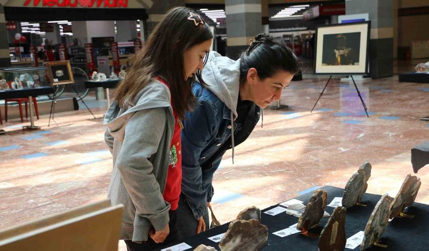 Diyarbakır'da 'İl İl Türkiye' Sergisi sanatseverlerle buluştu