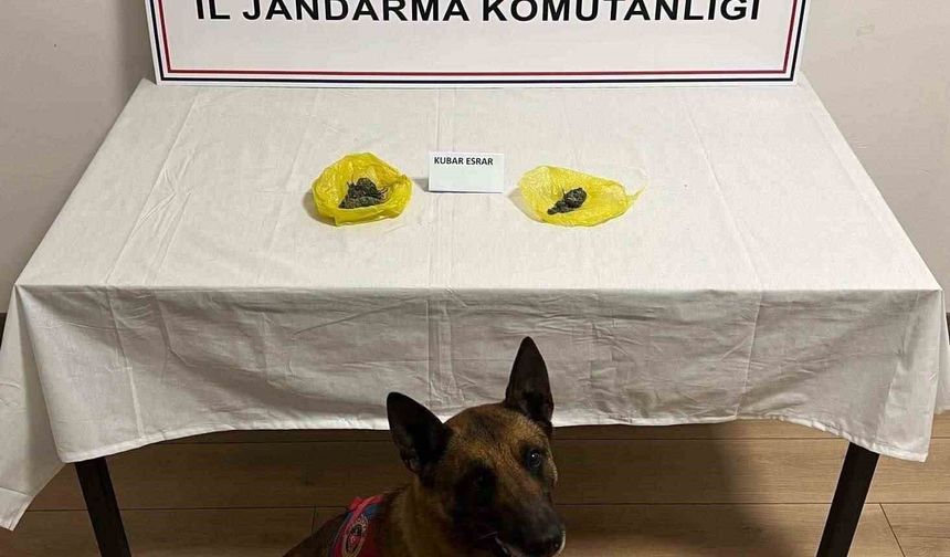 Yolda yapılan kontrollerde uyuşturucu bulundu