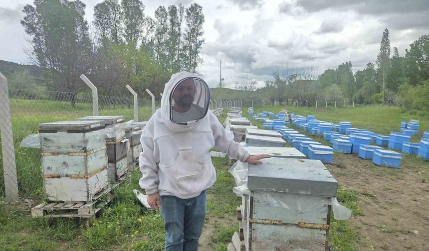 Arıcılığa Hobi Olarak Başladı, 250 Kovana Ulaştı
