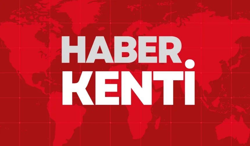 Bursa'da 1,2 tonluk dev tosun, beklenen fiyatın altında satıldı